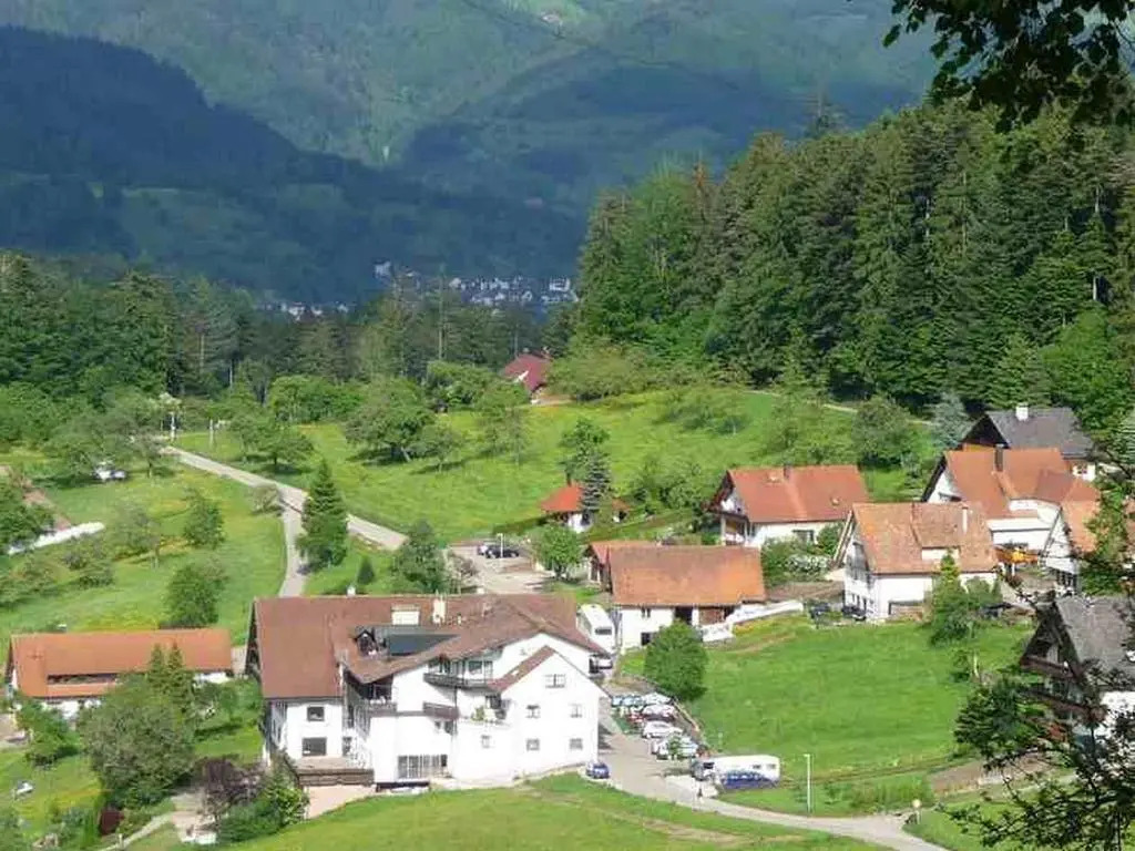 Grüner Ausblick