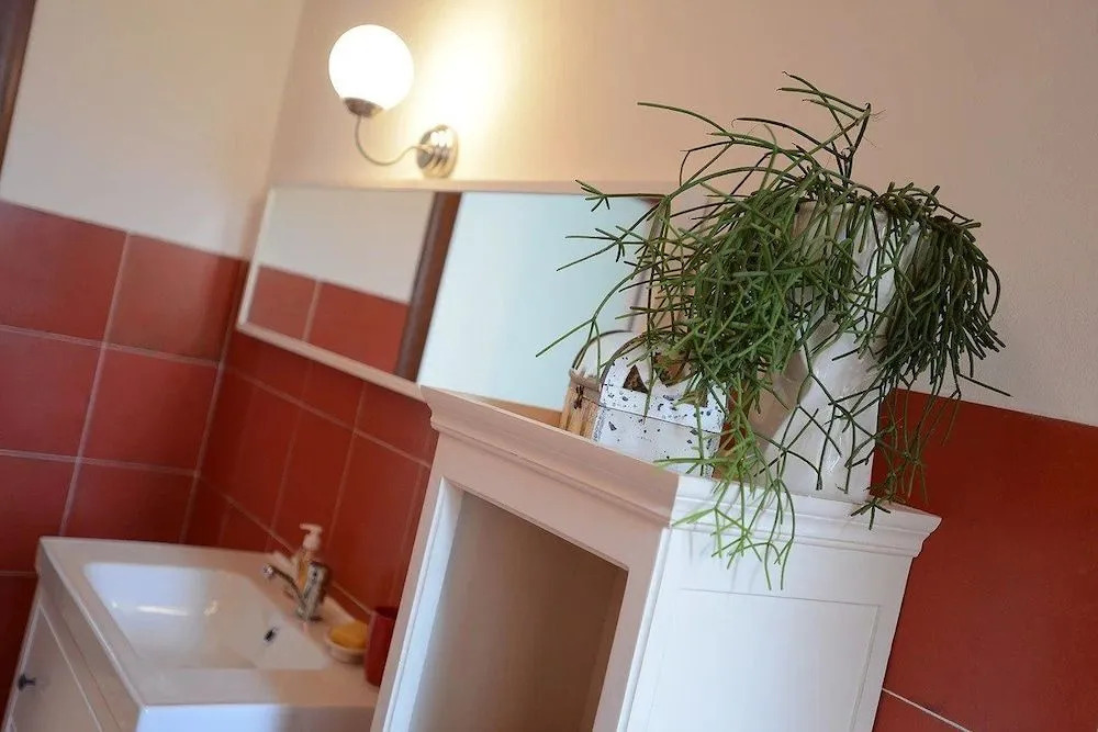Il Pettirosso B&B
