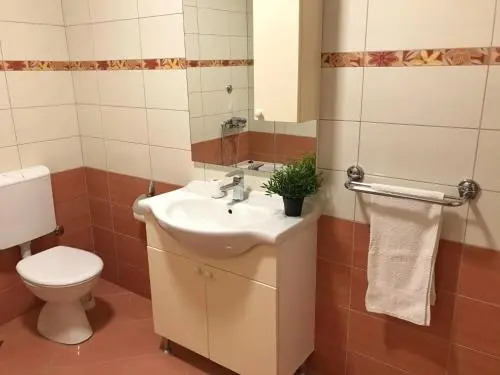 Apartment Antiša