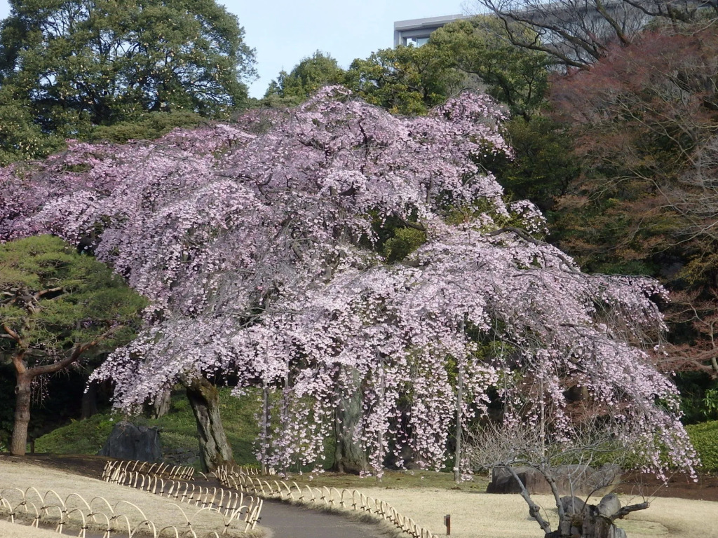Koraku Garden Hotel Tokyo