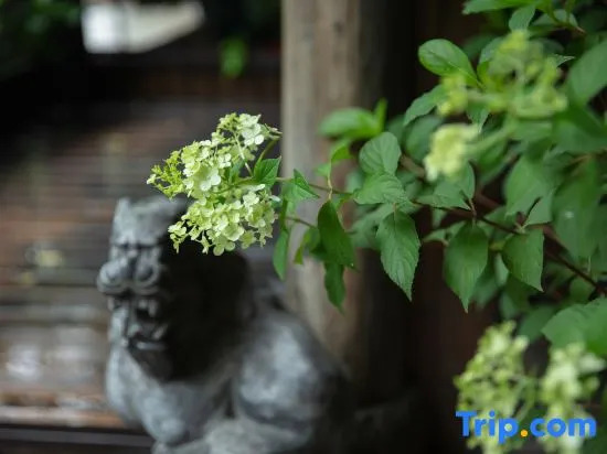 Xitang Hostel