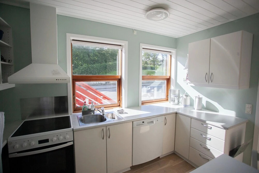 Downtown / Newly Renovated 2 Bedroom Apartment