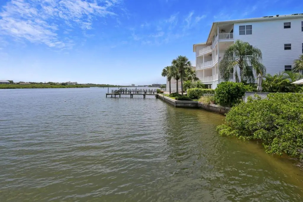 Sea Shell 24
