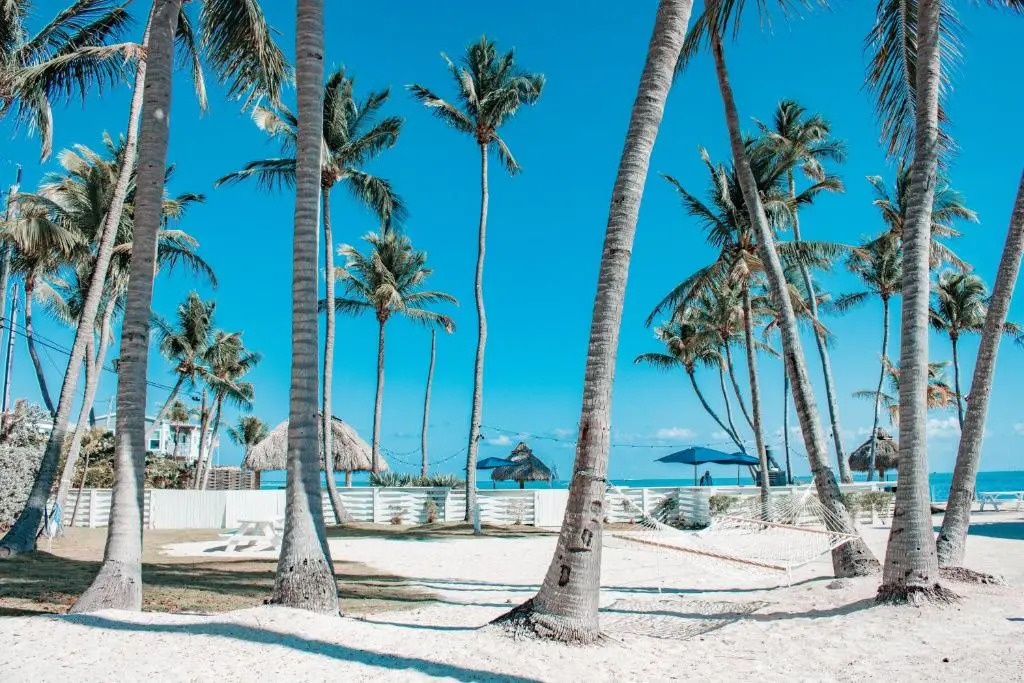Drop Anchor Resort & Marina
