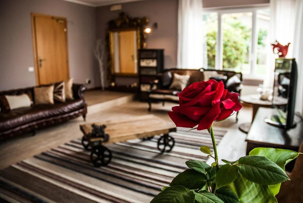 Hotel Eden