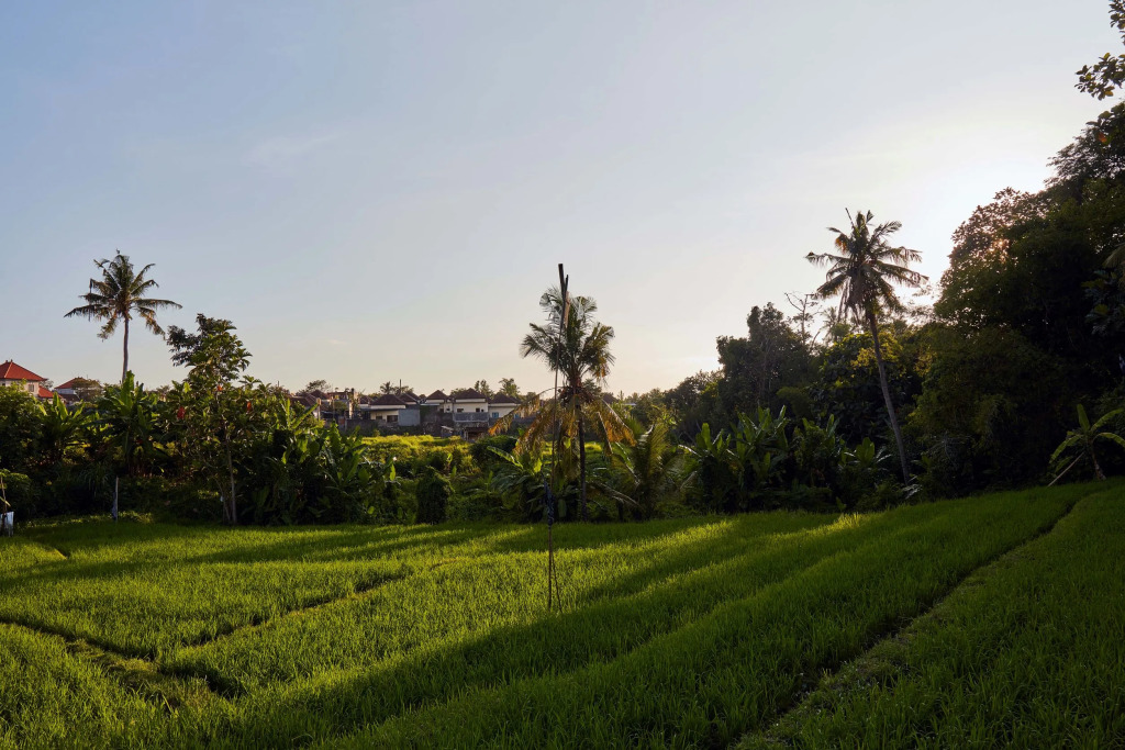 Blue Bamboo Villas