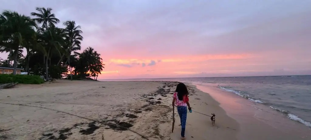 Playa Turquesa only 50m From the Beach Walk to all Restaurants