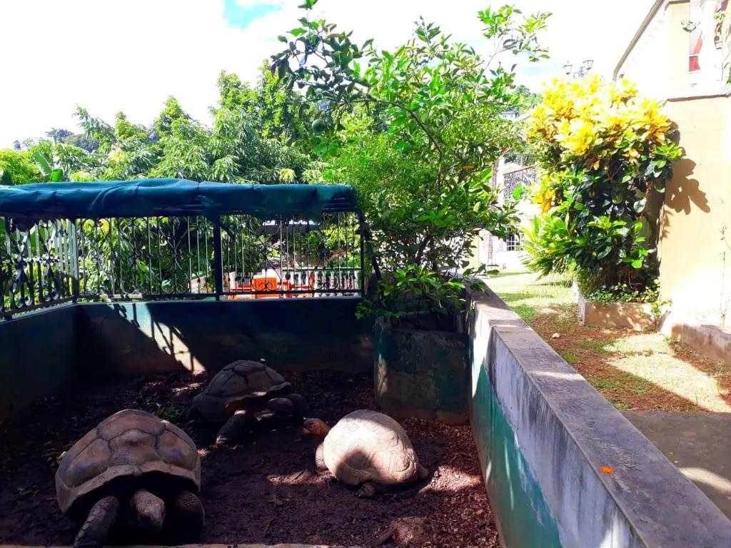 Hibiscus House Seychelles Self Catering