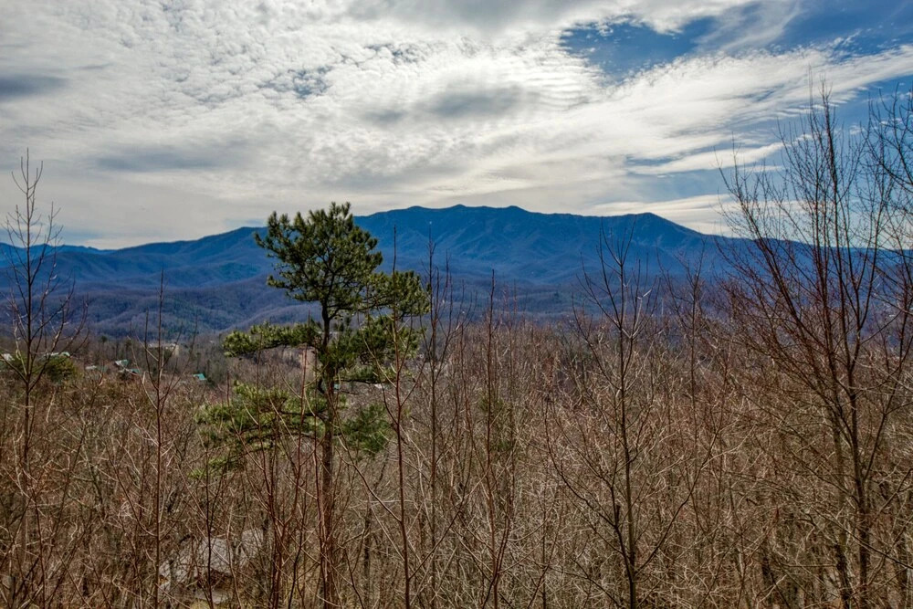 Mountain Splendor