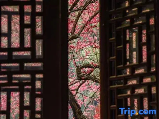 Shankee Tea Style Zhixiang Hotel (Huzhou Zhuangyuan Street Yishang Street)