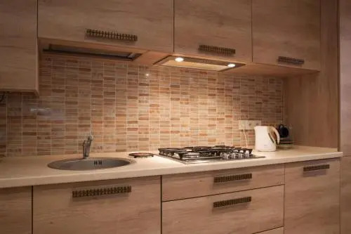 Apartment Roksolana 2
