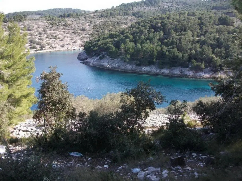 Vacation House Planika