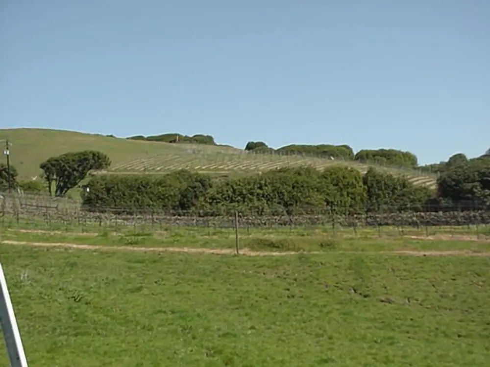 Point Reyes Vineyard Inn