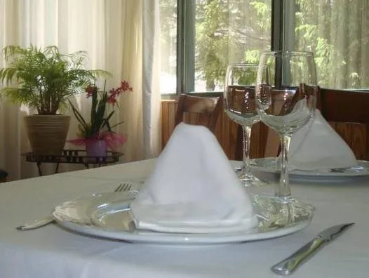 Hotel Valle de Tena