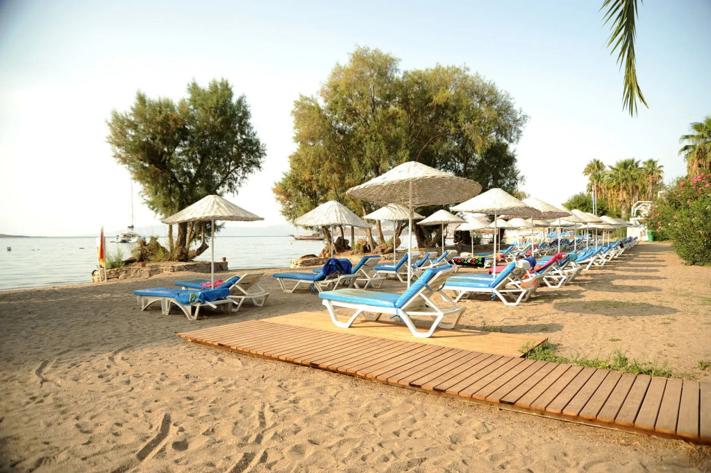 Club Muskebi
