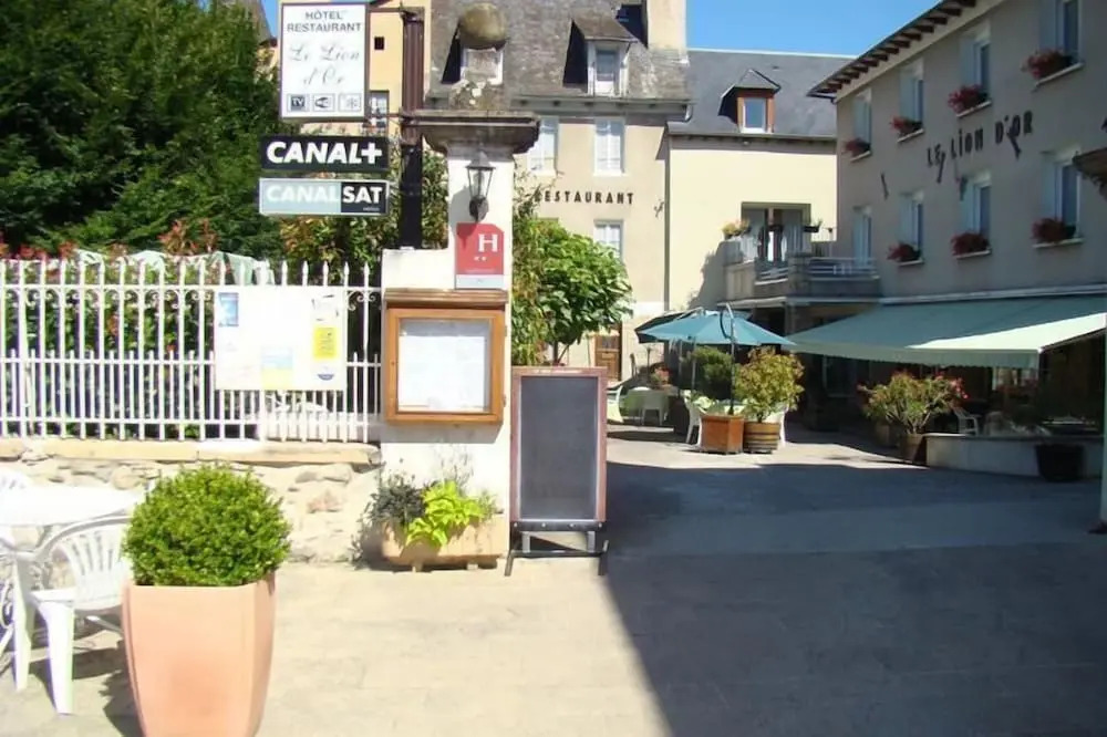 Hotel Le Lion dOr