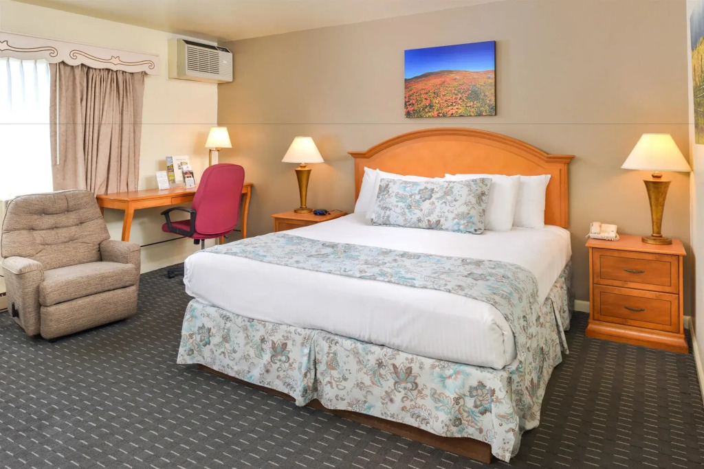 Svendsgaards Lodge- Americas Best Value Inn & Suites