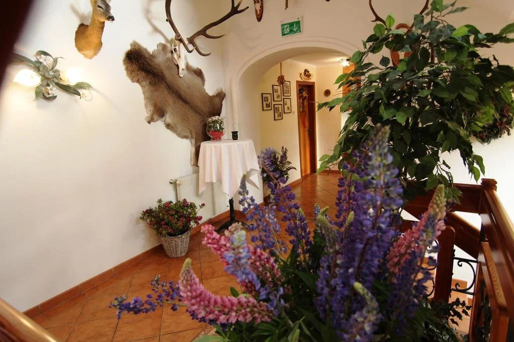Hotel Häuserl im Wald
