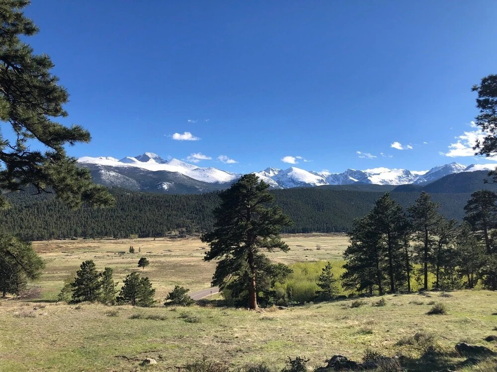 Niwot Cabin - Stay In Rocky Mountain National Park - Estes Park - New Listing - 22-zone3298 2 Bedroom Cabin by RedAwning