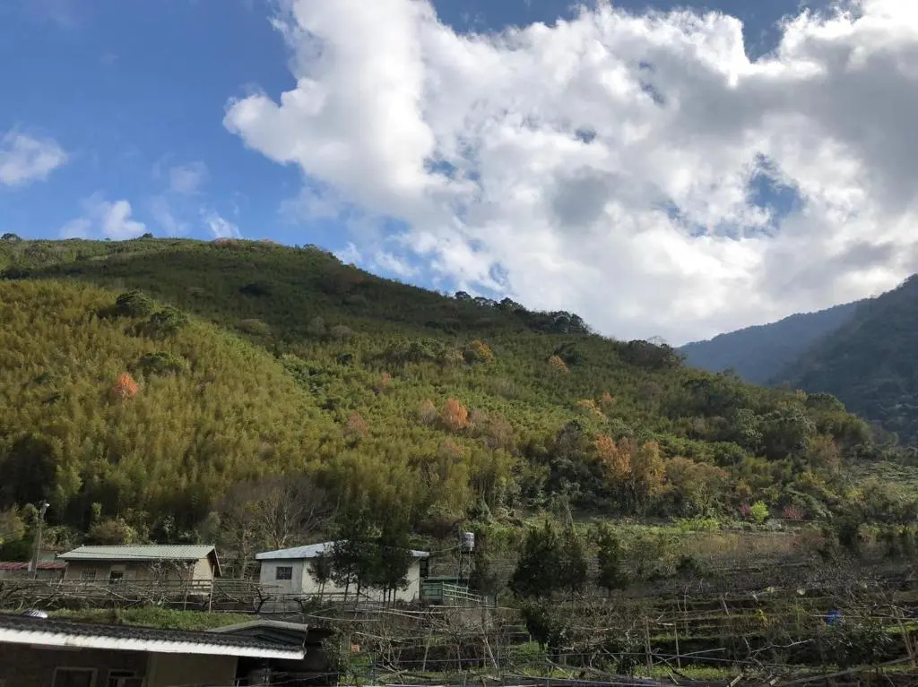 Yeheng Terrace Homestay