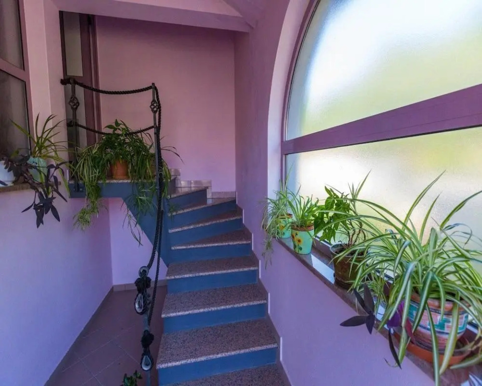 Apartments Djusi