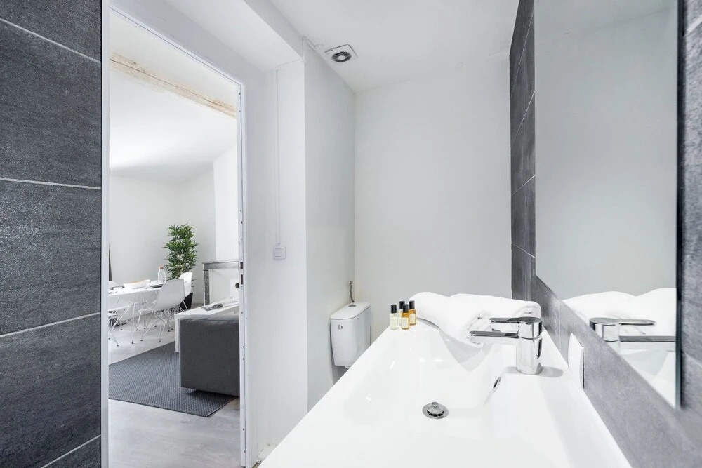 Large 1 Bedroom Apartment "rue de la Loge"!