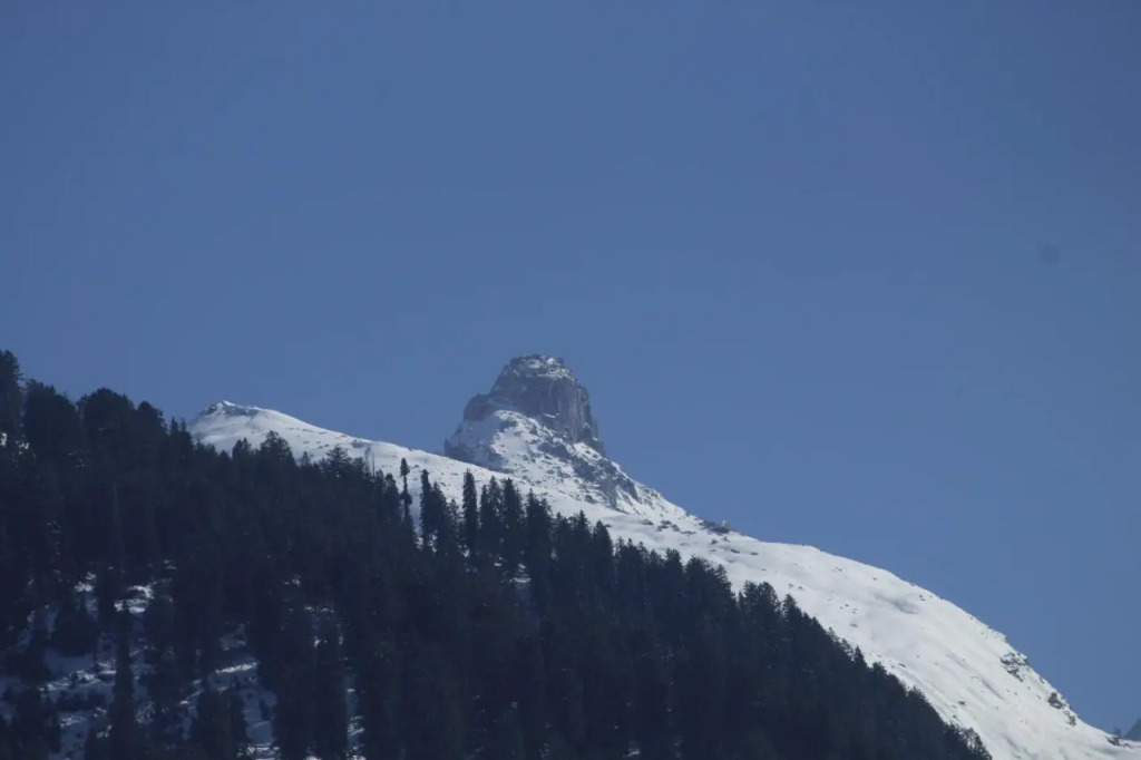 Hotel the moksha valley
