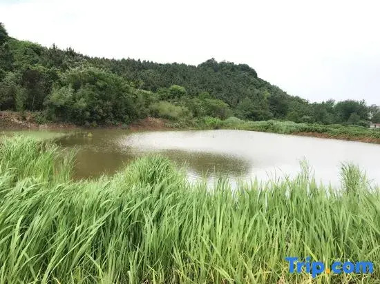 Jing County Siyou Chinese Inn