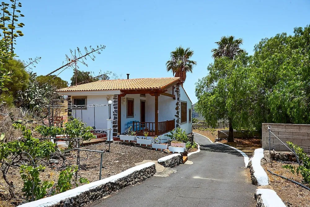 Luxury las Viñas 2