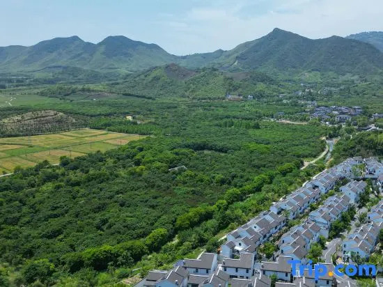 three trees single villa