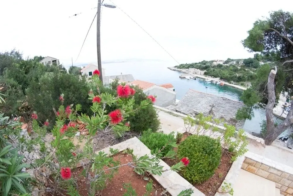 More - View on the sea - A1