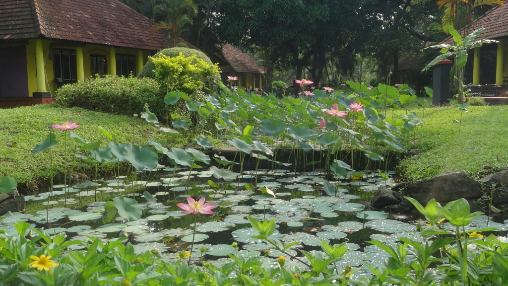 Taj Kumarakom Resort & Spa, Kerala