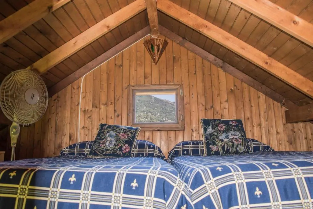 LA PEÑA LUXURY