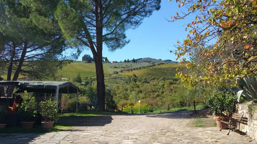Colonica Montebeni
