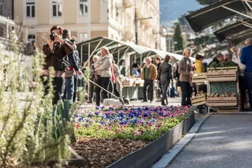 Holiday House Merano - Terme