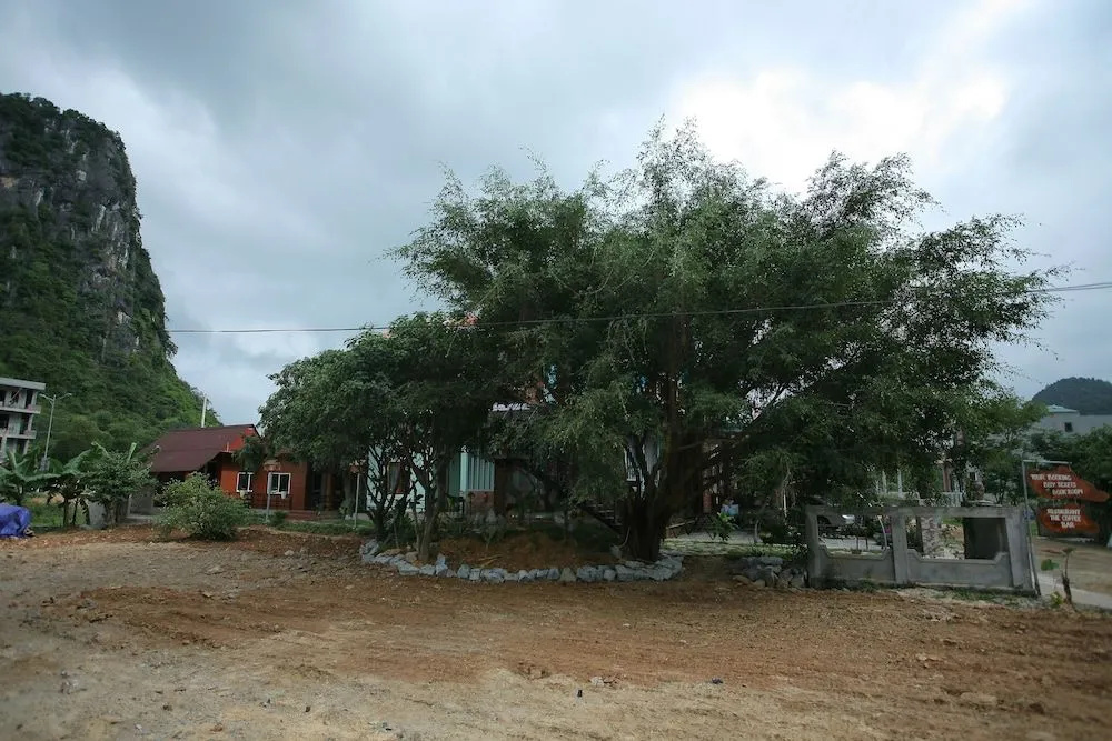 Ngoc's Garden House