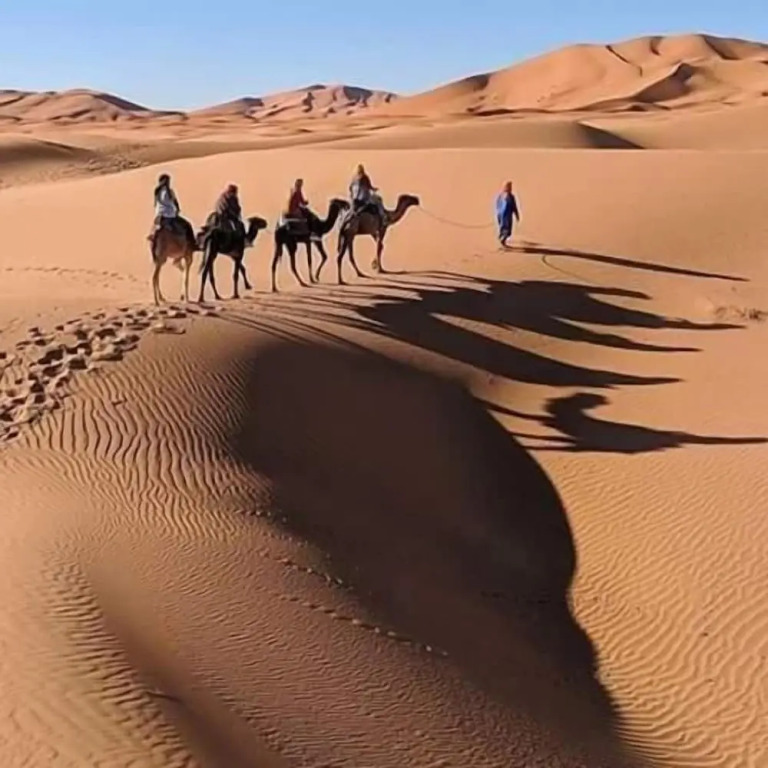 Desert Waves