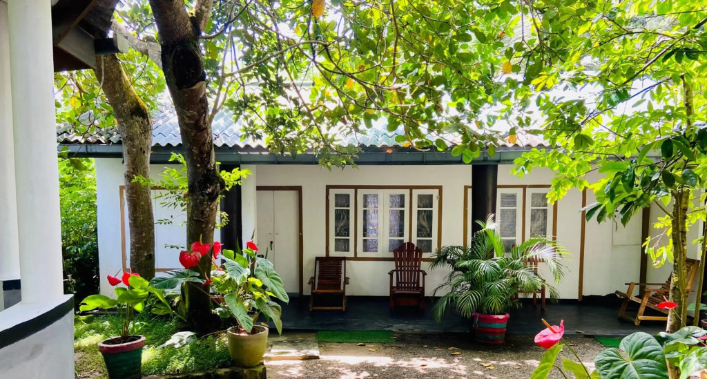 drongo place
