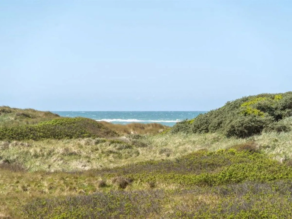 "Gerald" - 100m from the sea in NW Jutland