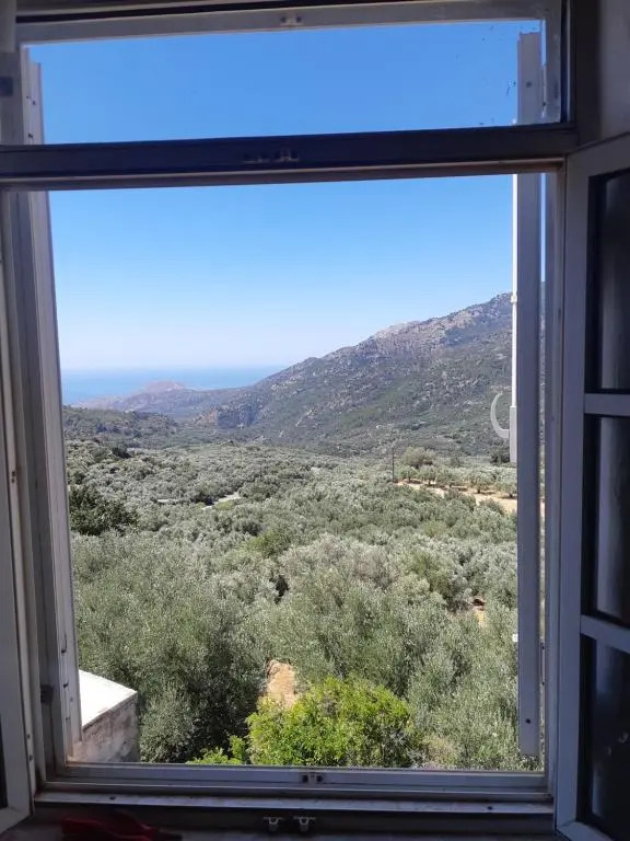 view home