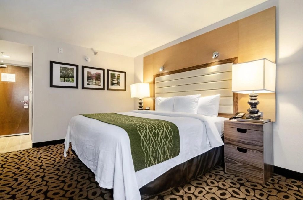 Comfort Inn Raleigh Midtown