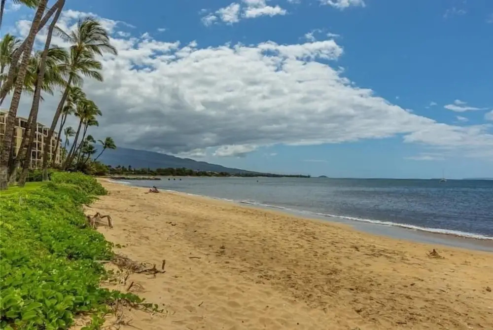 Maalaea Surf, #g-7 2 Bedroom Condo by RedAwning