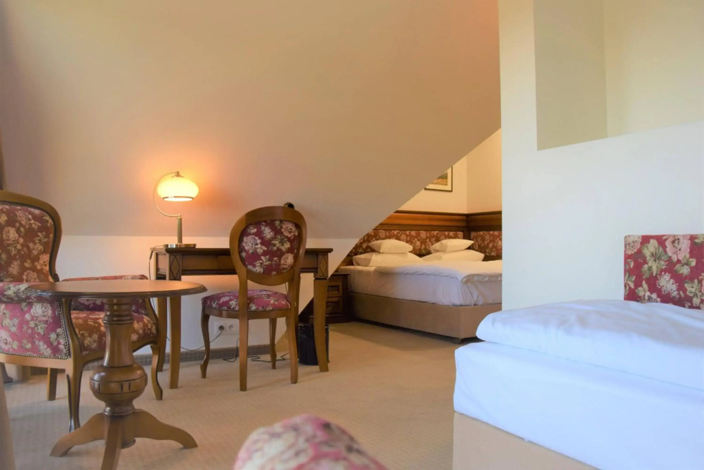 Hotel Paryski Art & Business Zakopane - Basen Jacuzzi Sauna Małpi Gaj