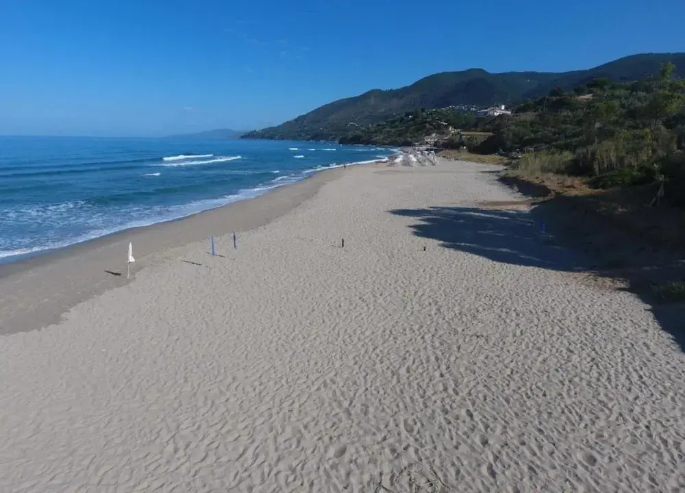 Flat in Caprioli di Pisciotta With sea View
