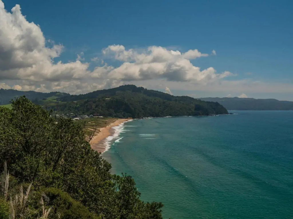 Purepure - Tairua Holiday Home