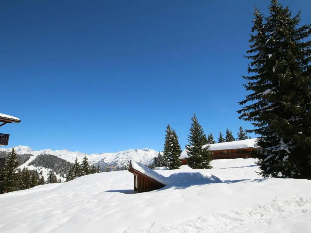 Appartement Villard-sur-Doron, 3 pièces, 4 personnes - FR-1-293-208
