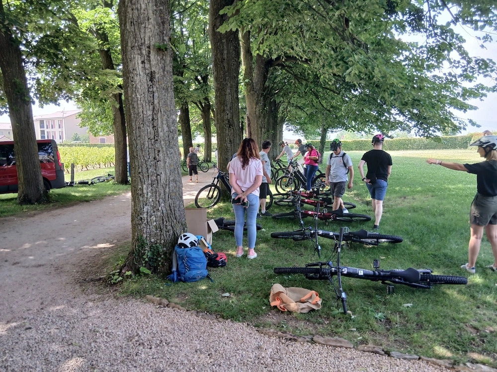 Domaine de Montclair