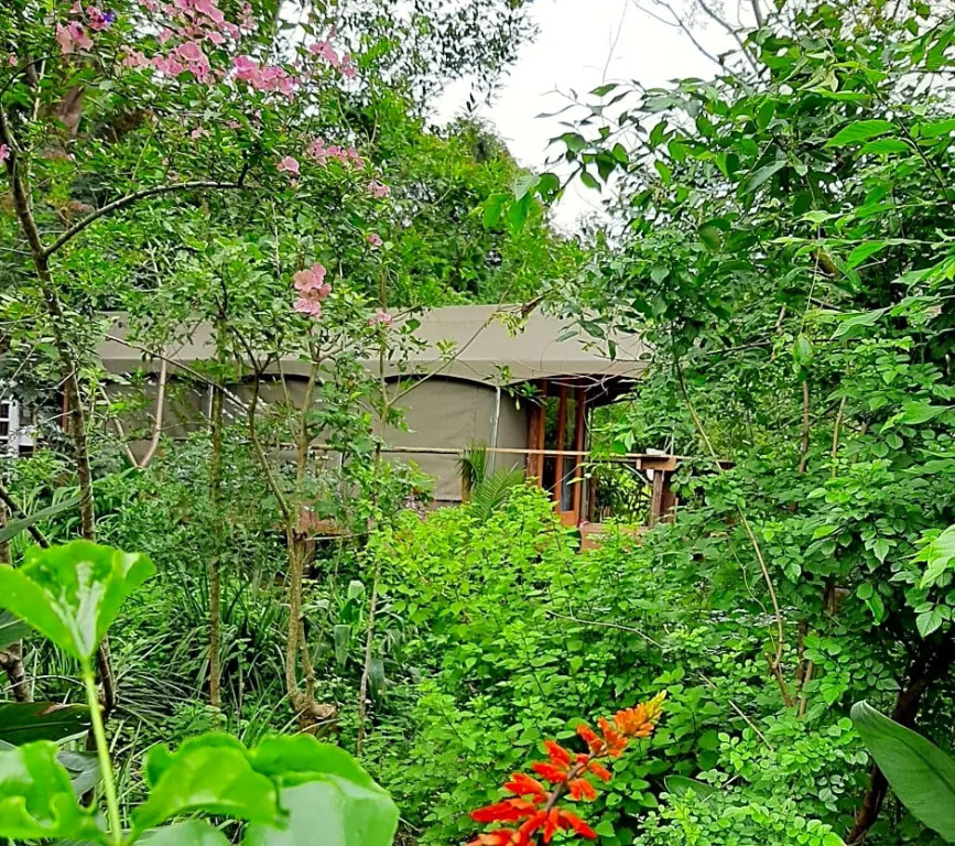 The Bird Hide