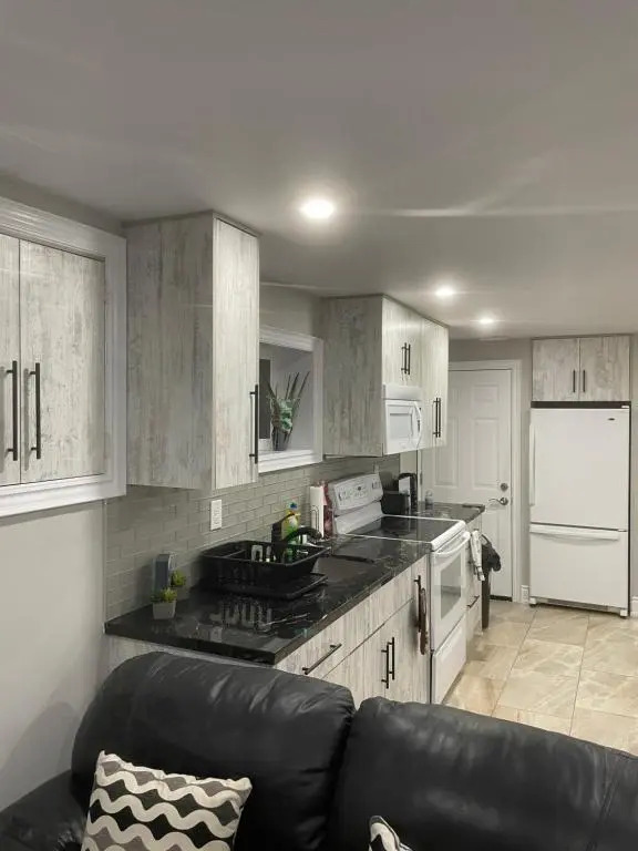 Stunning & cozy freshly renovated 2 bedroom basement unit