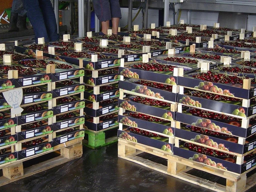 B&B Cherryfarm
